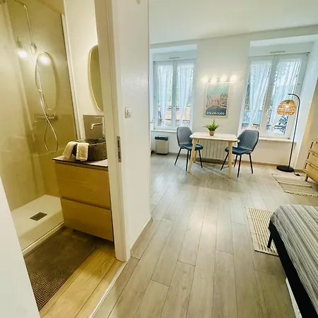 Apartment Studio, Gare, Petite France, Hypercentre *