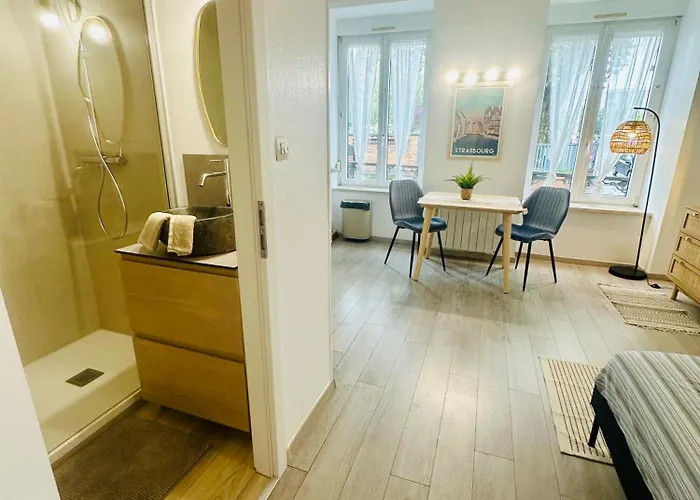 Διαμέρισμα Studio, Gare, Petite France, Hypercentre *